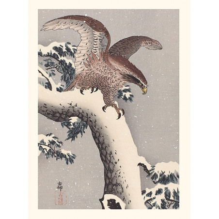 Japanischer Druck, Adler, Ohara Koson