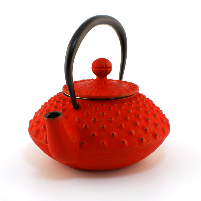 Japanese red cast iron teapot. Iwachu Kambin 0.3 lt