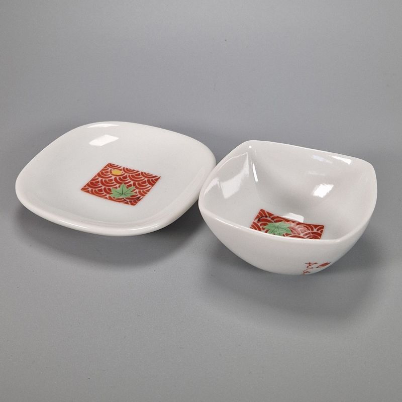 Ceramic vessel and saucer set - MOMIJI NAMI