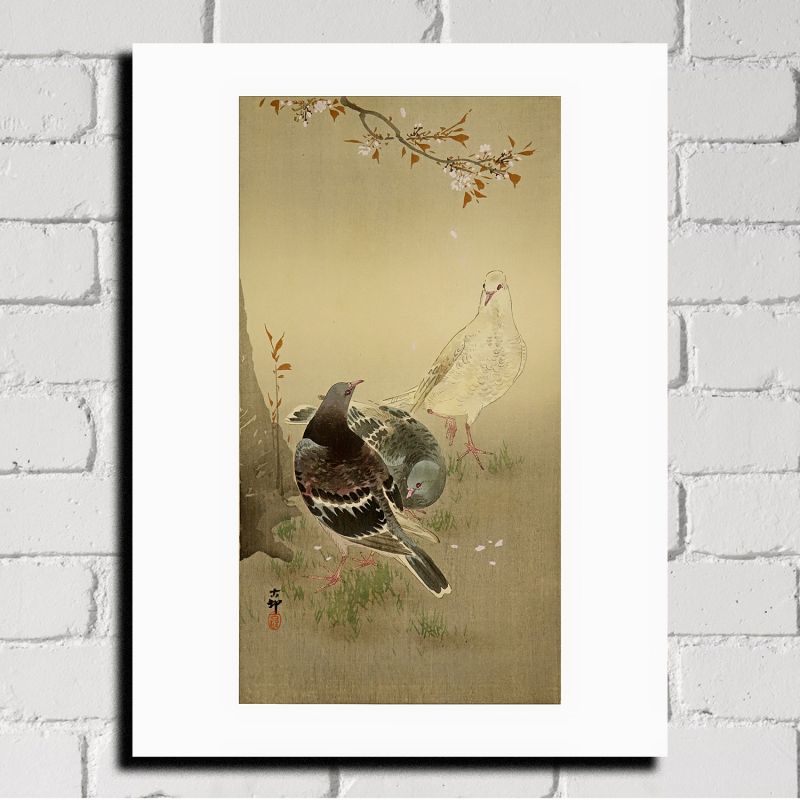 Japanese print, Three pigeons, OHARA KOSON