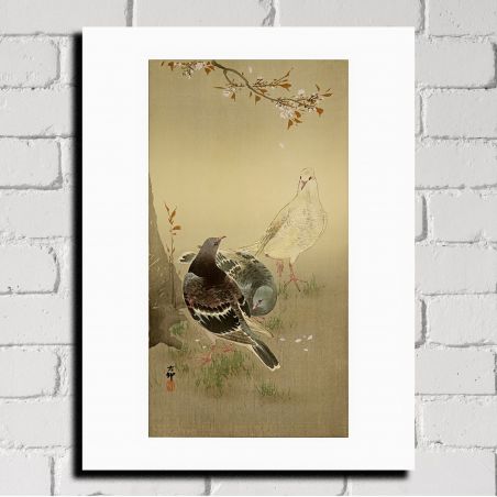 Estampe japonaise, Trois pigeons, OHARA KOSON