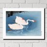 Japanese print, Two swans, OHARA KOSON