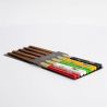 5 colors japanese chopsticks set in wood cats MANEKINEKO