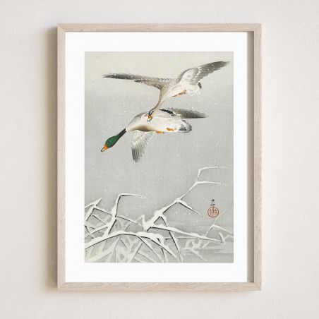 Japanischer Druck, Zwei Enten, OHARA KOSON