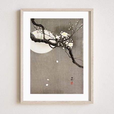 Japanischer Druck, Kirschblüten, OHARA KOSON