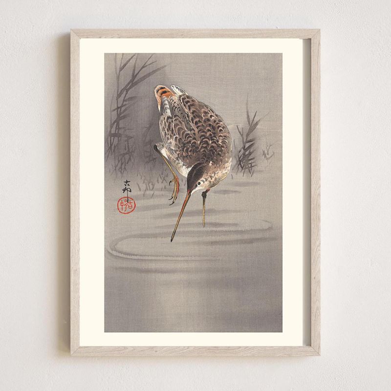 Japanischer Druck, Solitary Snipe, OHARA KOSON