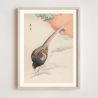 Japanese print, Versicolored pheasant, OHARA KOSON