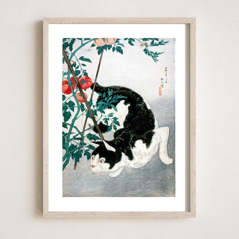 Japanese woodblock print reproduction, Cat with a tomato plant by Hiroaki Takahashi