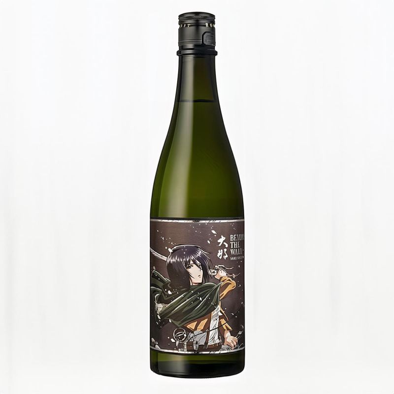 Aot Dina sake, BEYOND THE WALL MIKASA