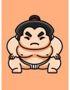 Sumo