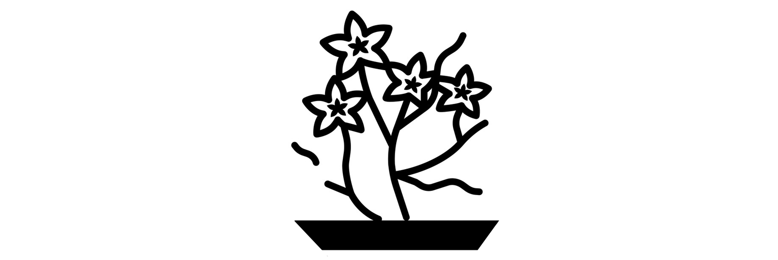 Japanisches Ikebana, Vasen und Soliflores